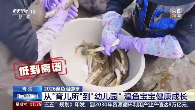 科技监测 双线守护青海湖湟鱼洄游