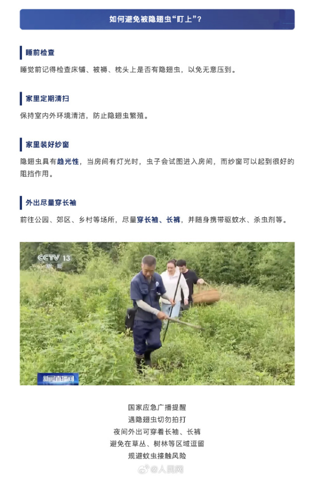 注意！遇见隐翅虫不要用手拍 如何避免被隐翅虫盯上