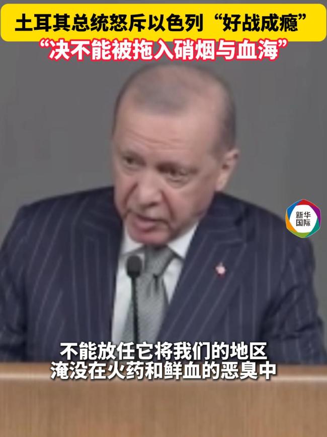 土耳其总统：决不能被以拖入硝烟血海