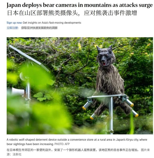 日本架800个摄像头监测熊出没
