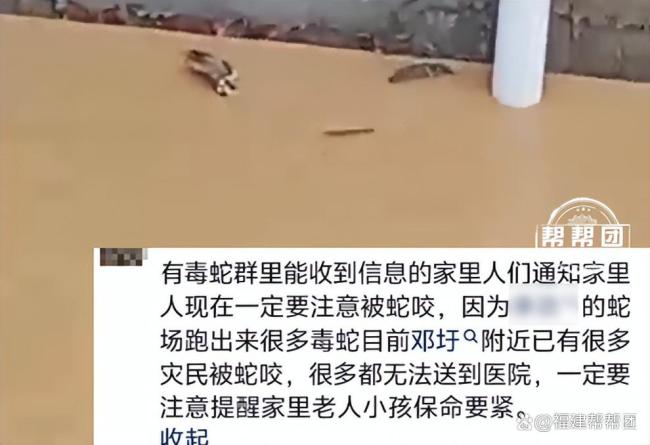 洪水后蛇出逃 医院：血清带不进去
