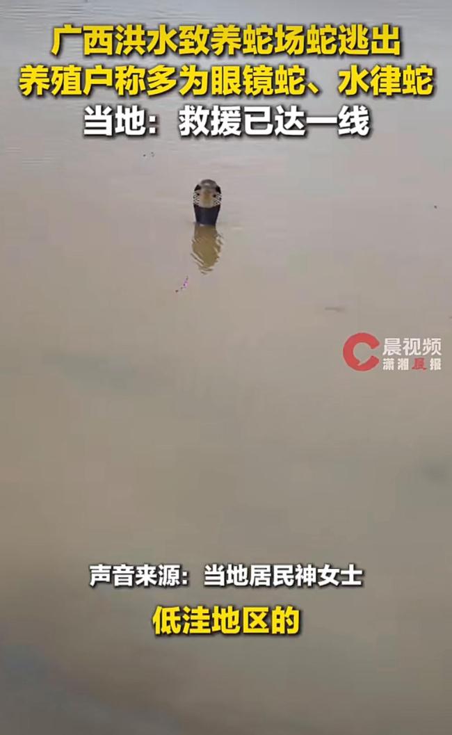 广西洪水致蛇场被冲 多人被咬