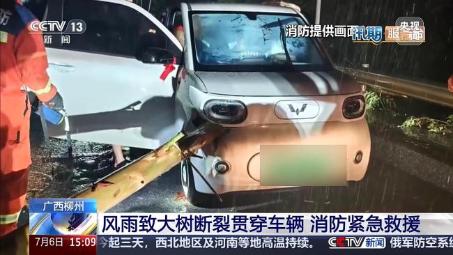 行驶车辆撞上断裂树木被贯穿