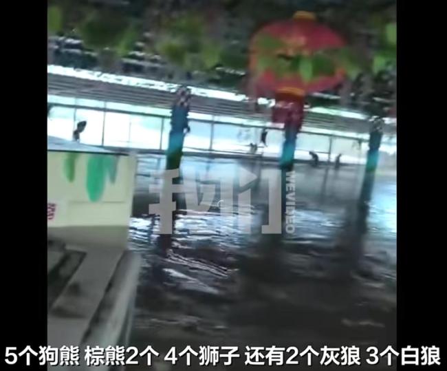 员工冒险锁死猛兽区：不能放出 会吃人