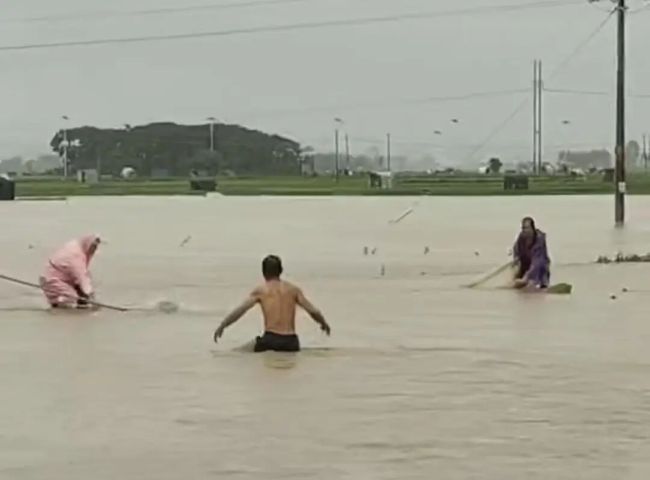 广西横州全力防范蛇伤险情 洪水冲垮养殖场致蛇外逃