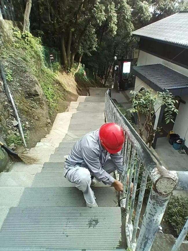 西湖景区已完成树木加固5800余株 迎战台风“巴威”