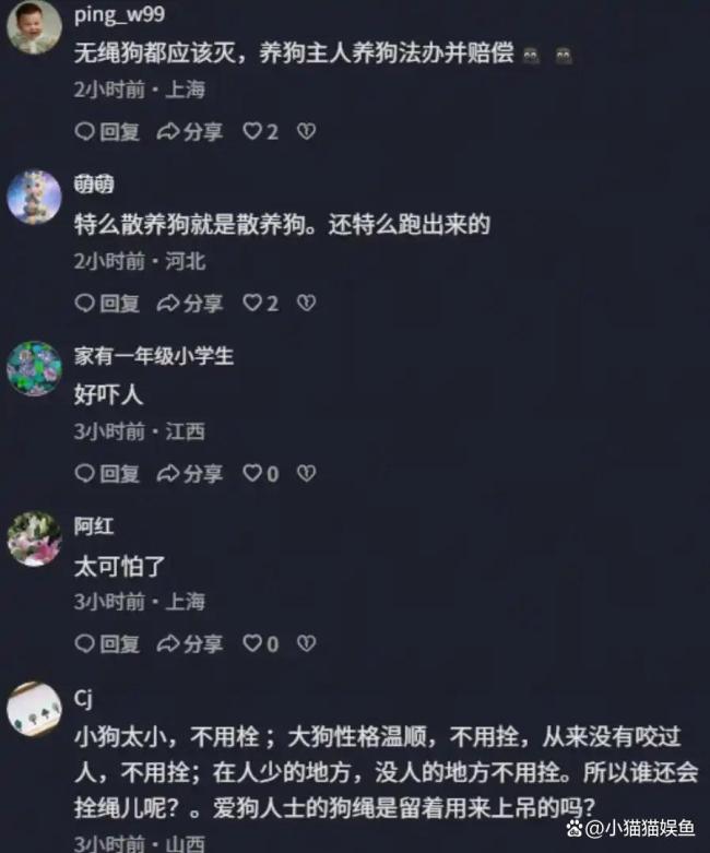 上海一幼童在小区内被狗撕咬 管理漏洞引发热议