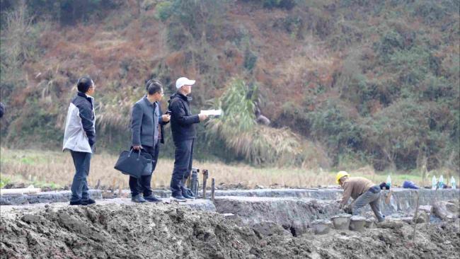 近亿元高标准农田项目被非法转包 整治风暴席卷全国