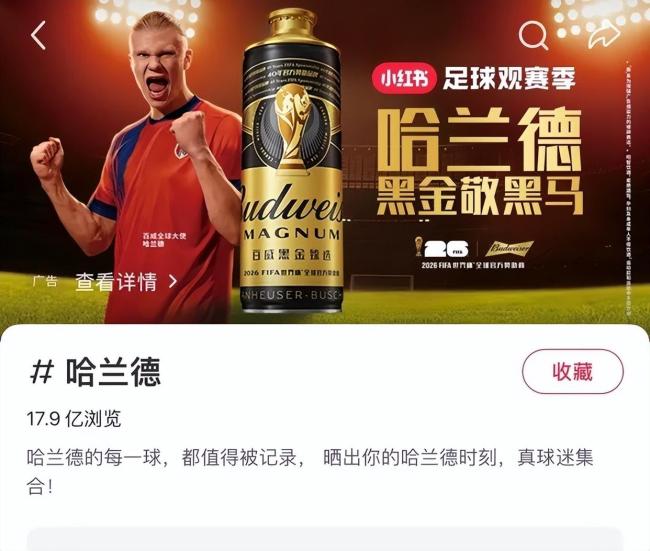 哈兰德:挪威队夺冠概率仍“很低” 压力在英格兰队身上