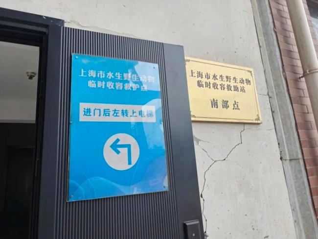 16岁男生网购鳄鱼吓坏家长 后果不堪设想