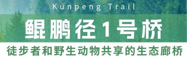 深圳明确擅闯三山险区自担救援费