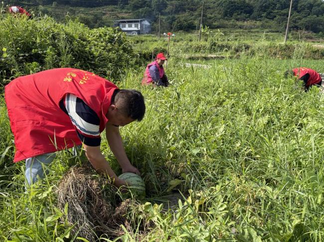 记者直击浙江苍南防台风一线 多举措筑牢安全屏障
