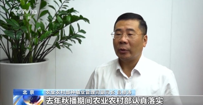 2026年全国夏粮产量首次突破3000亿斤 单产创新高