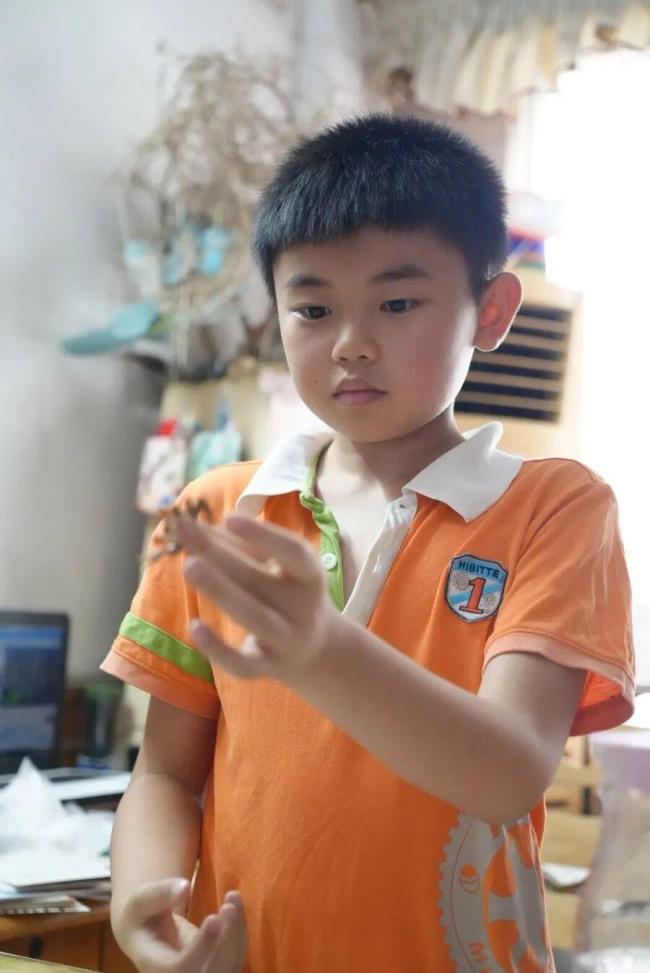 9岁小学生在广州发现恐龙蛋获表扬 科学小侦探引发关注