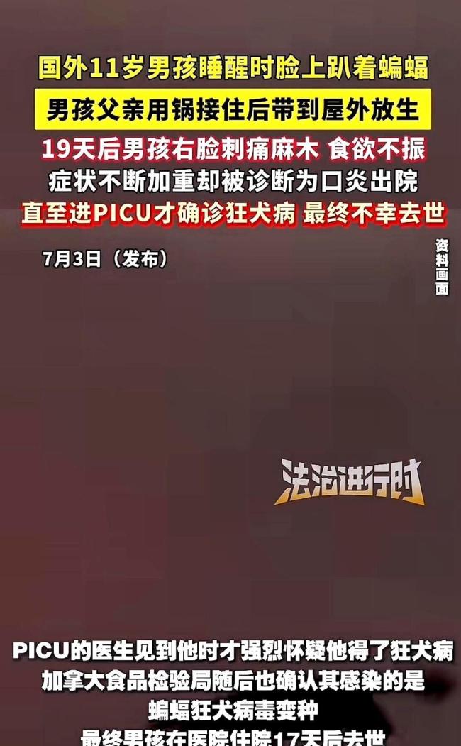 10岁男孩见蝙蝠以为去世妈妈回来了 致命疏忽引发悲剧