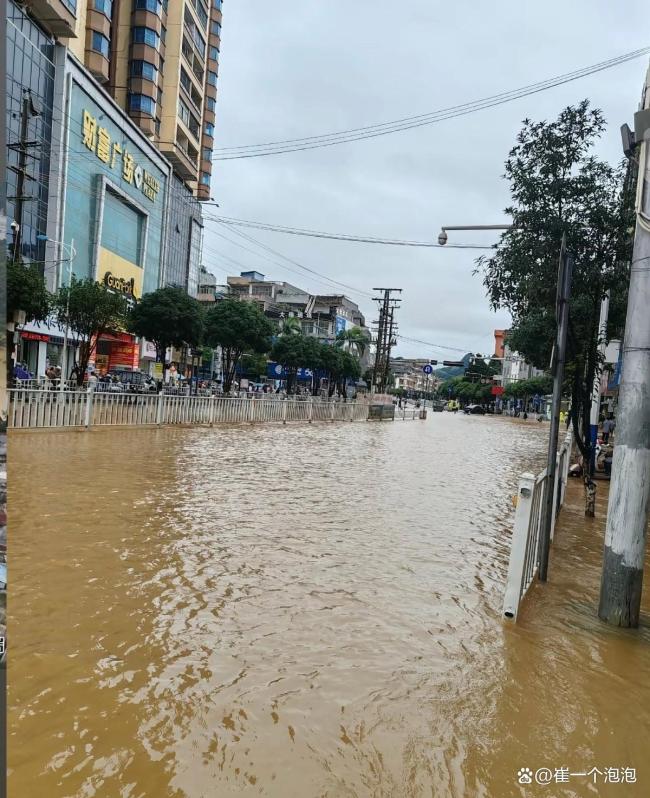 洪水后村民在抽屉发现银环蛇 毒蛇隐患需警惕