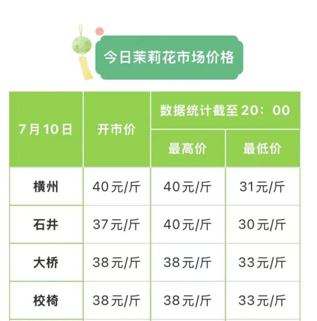 全国8成茉莉原料产地被淹 茶商回应 花价波动剧烈