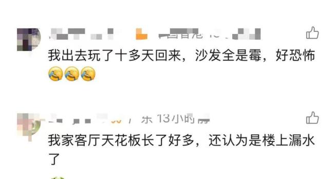 家中长出"黑色小刷子"千万别碰 可能是健康威胁