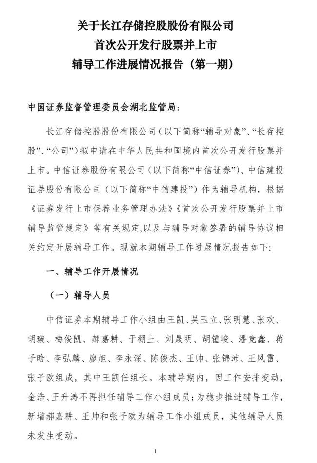 长江存储31人IPO“辅导天团”亮相,两券商同时押中“双子星”