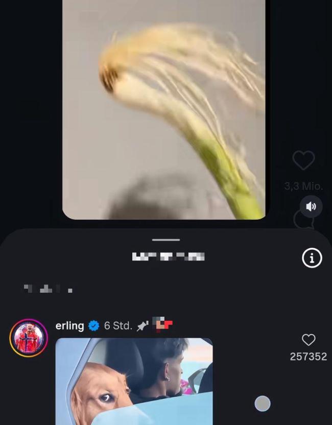 当地球迷排队12小时买挪威队球衣 球衣成稀缺商品