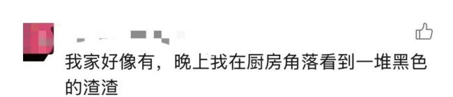 女子发现家中长“黑色小刷子” 沙发下的健康隐患
