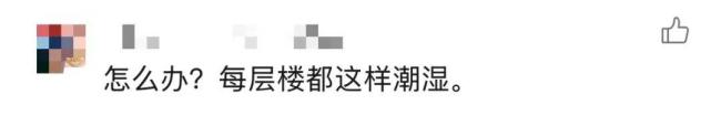 家中长出“黑色小刷子”千万别碰 警惕隐藏的健康威胁