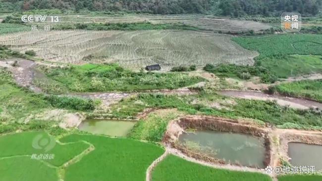 央视曝光水稻种植台账造假 虚假数据背后的耕地危机