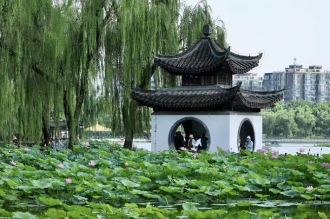 在北京邂逅京城限定的浪漫风光 城区里的江南景致