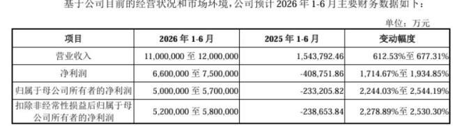 今年A股最大IPO！长鑫科技启动申购 募资295亿创纪录
