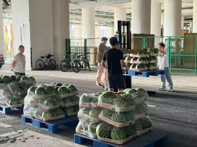 杭州女老板赴河南老家加价收滞销西瓜 千里助农暖人心