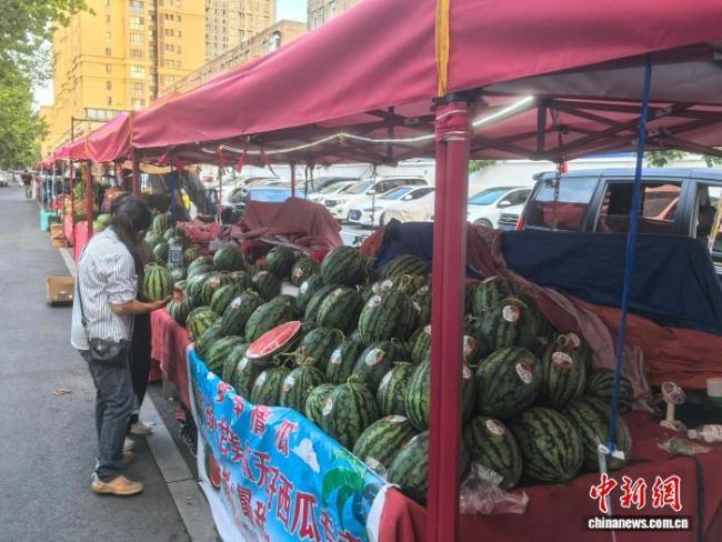 河南开封爱心接力共解西瓜销售难题 全城联动助农纾困