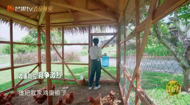 王俊凯突击检查小情侣 鸡舍偷蛋谜案引发笑点