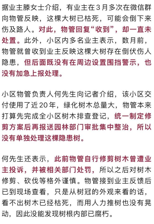 小区一大树突然倒下砸中一对母子 母子受伤住院治疗