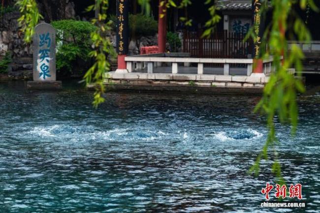 济南趵突泉水位创近10年同期新高