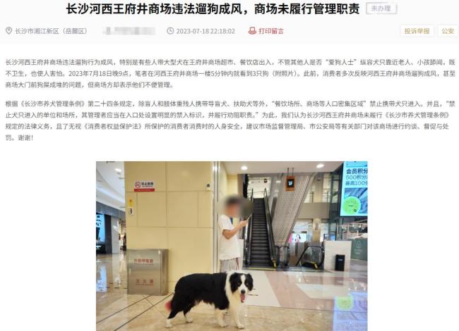女子遛狗不拴绳被打不构成互殴 商场管理责任何在