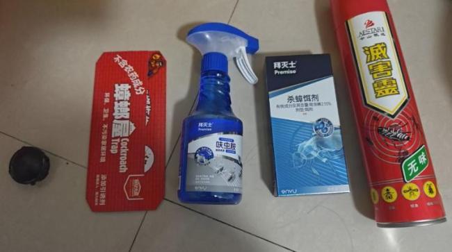 西安一小区蟑螂泛滥越杀越多 全楼统一消杀成关键