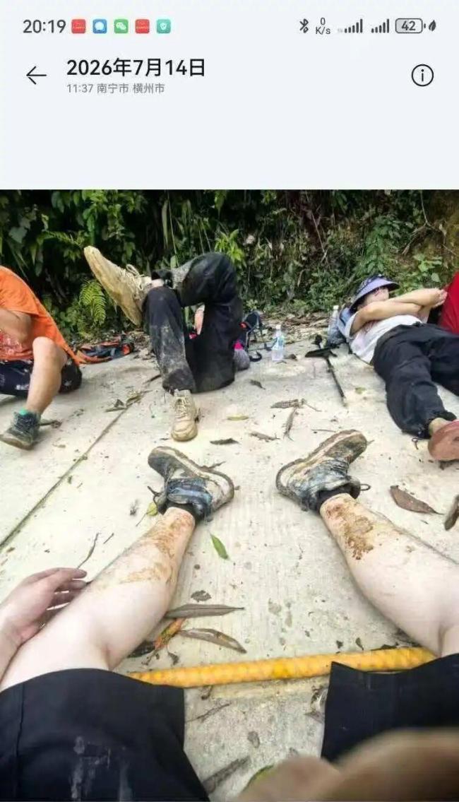 离世志愿者救助小动物分期扣款仍继续 大爱无疆感动人心