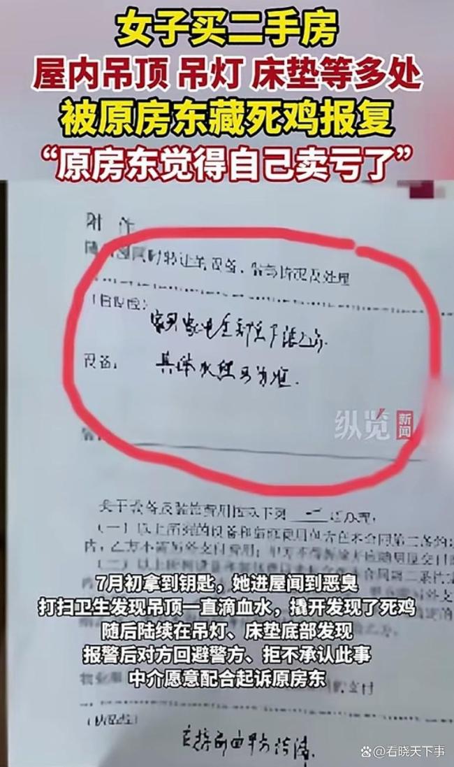 女子买房遭原房东藏死鸡报复 赌气式报复引争议