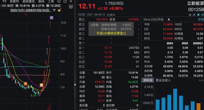 立新能源的股价狂欢与基本面