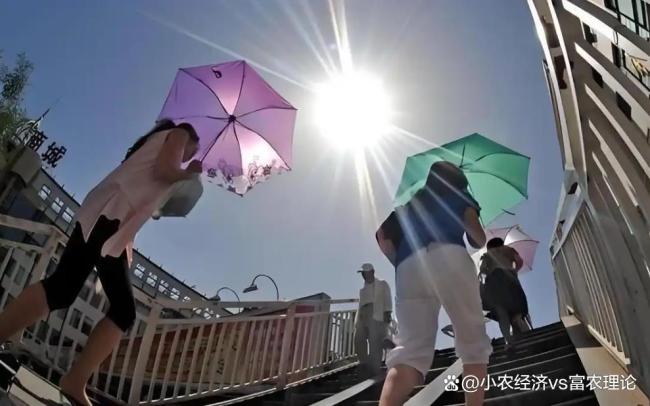 7月23日3时13分迎大暑 早大暑凉飕飕