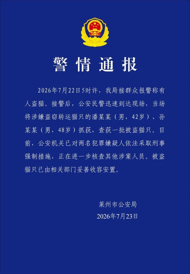 两男子涉嫌盗窃转运猫只被抓
