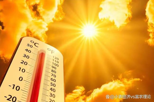 7月23日3时13分迎大暑 早大暑凉飕飕