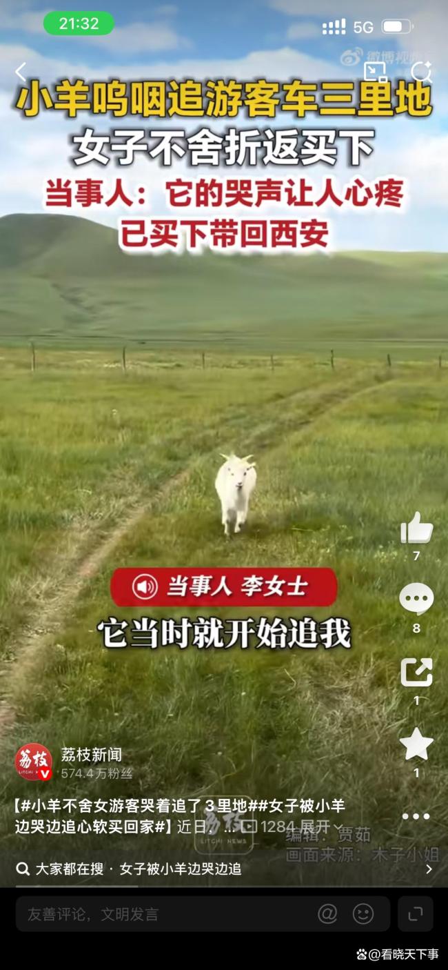 小羊不舍女游客哭着追了3里地