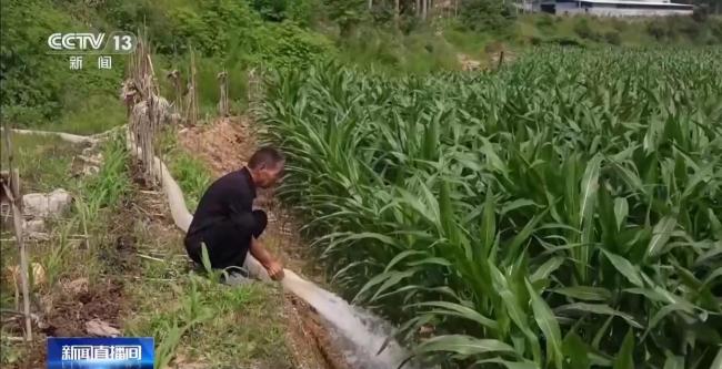 大暑谚语中的科学密码 古老智慧解密高温