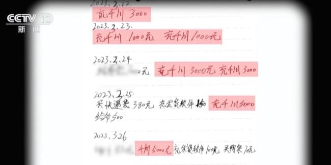 借流浪动物卖惨诈骗于法不容 空包裹骗局曝光