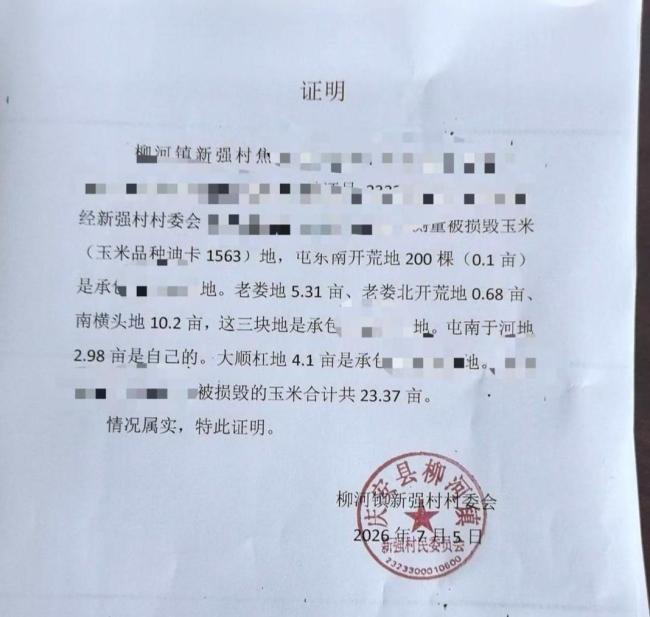 23亩玉米被毁农户征集线索 寻找破坏者