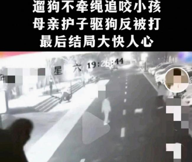 两女童家门口玩耍被大狗追逐 惊险一幕引发关注