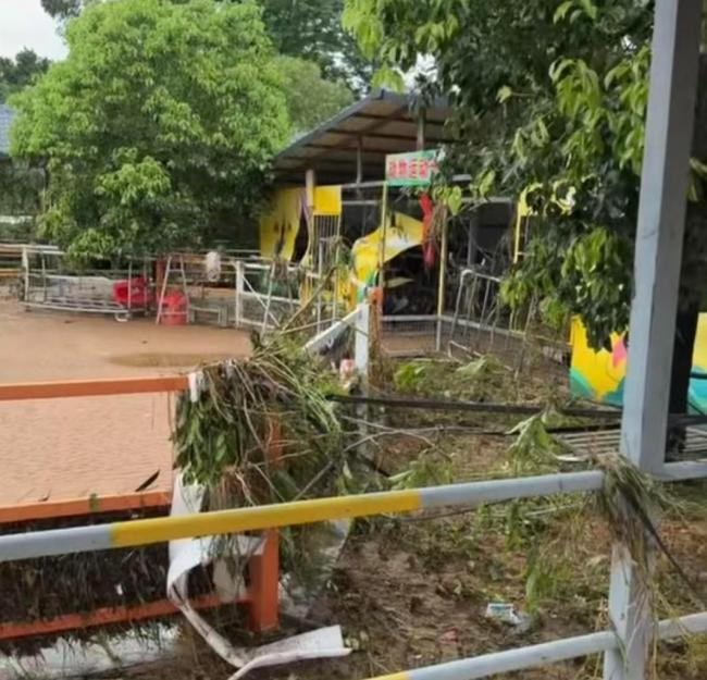 狮子被淹死园区老板进猛兽区前留遗言