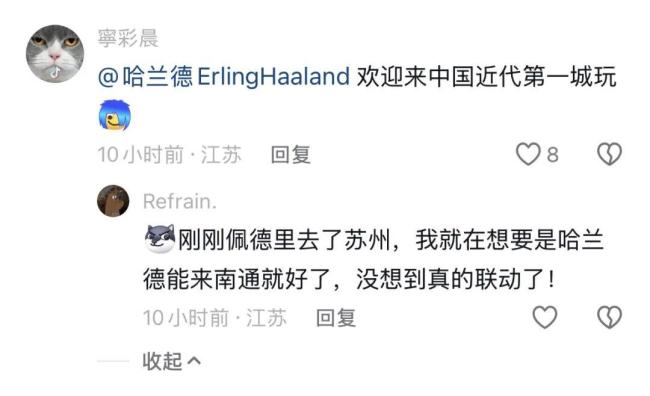哈兰德留言点赞 南通非遗糖画火了 糖艺创新获认可