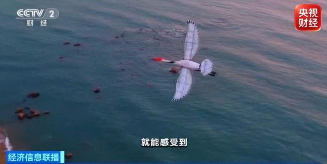 电影《八仙！》让山东蓬莱爆火 票房口碑双丰收
